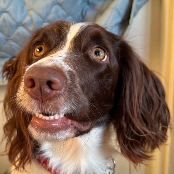 Photo of Tess